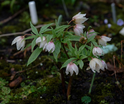 DSC_8292_DxO.jpg