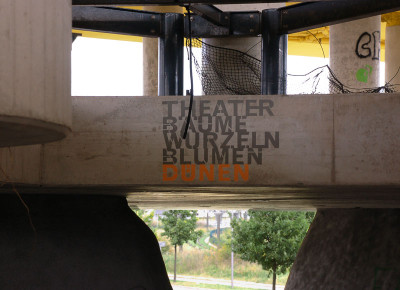 duenenbaeume80.jpg