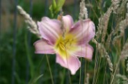 IMG_9943_bb.jpg