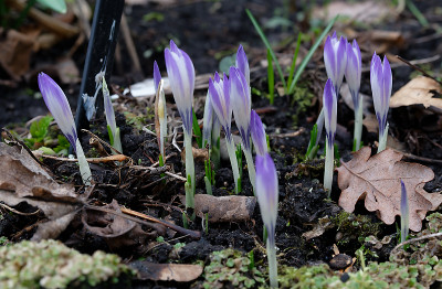 DSC_8305_DxO.jpg