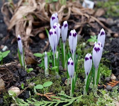 DSC_8310_DxO.jpg