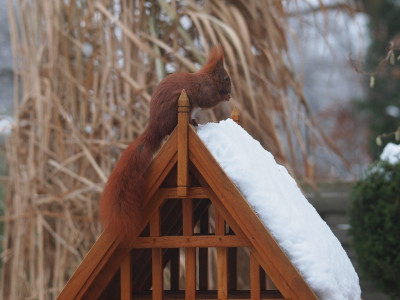 P1104662_small.jpg