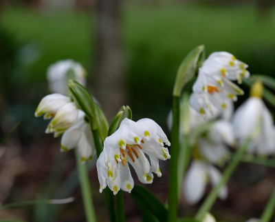 DSC_8302_DxO.jpg