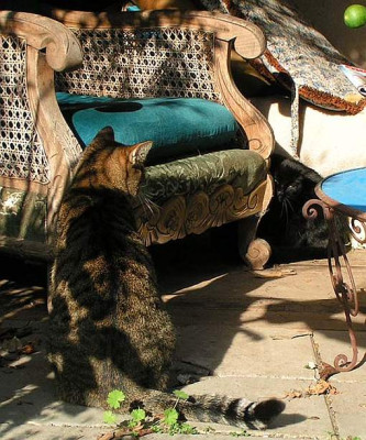 mi_ta_afdakjeA_071004.jpg