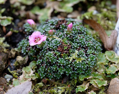 DSC_8314_DxO.jpg