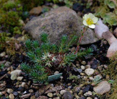 DSC_8315_DxO.jpg