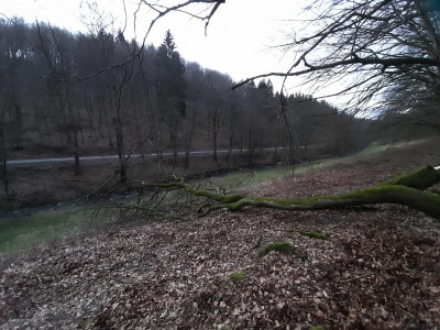 20240223_175240.jpg
