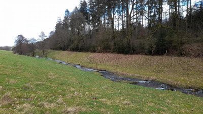 IMG-20240223-WA0037.jpeg