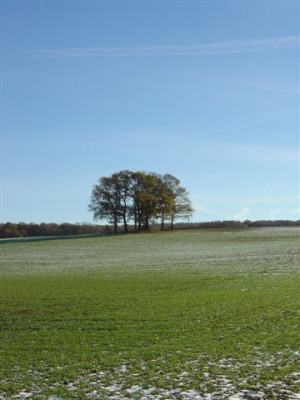 Schneespaziergang_Eichengruppe_20112004.jpg