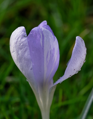 DSC_8333_DxO.jpg