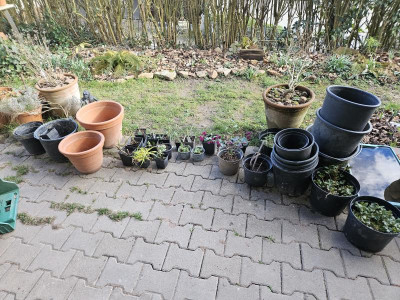 alle Schätze 20240225_150830.jpg