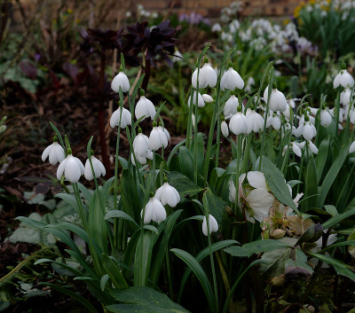 DSC_8297_DxO.jpg