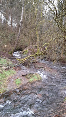 IMG-20240225-WA0006.jpeg