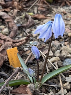IMG_4306.jpeg