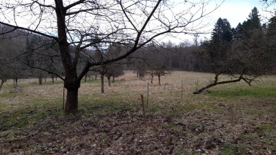 IMG-20240226-WA0011.jpeg