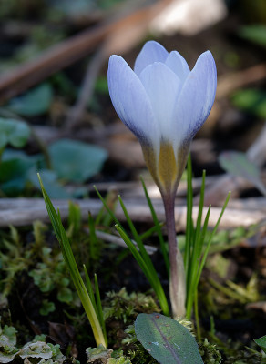 DSC_8354_DxO.jpg
