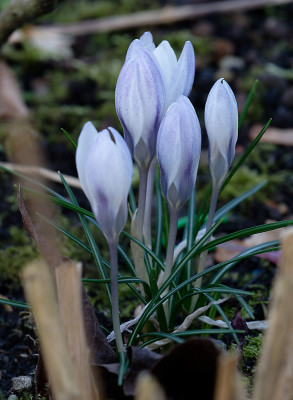 DSC_8355_DxO.jpg