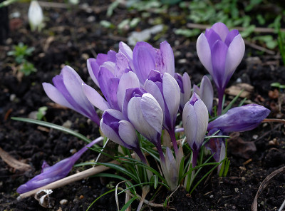 DSC_8347_DxO.jpg