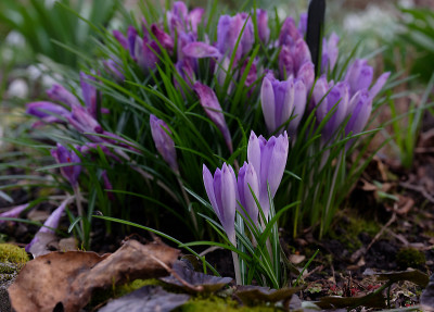 DSC_8360_DxO.jpg