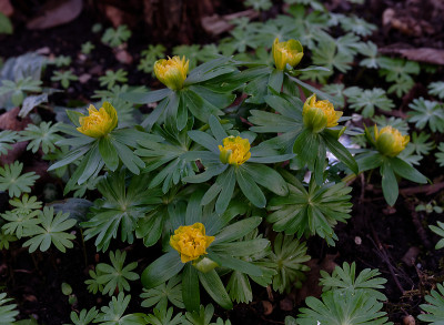 DSC_8356_DxO.jpg