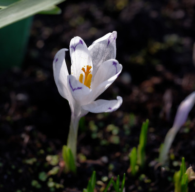 DSC_8358_DxO.jpg