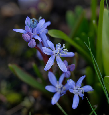 DSC_8364_DxO.jpg