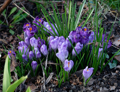 DSC_8373_DxO.jpg