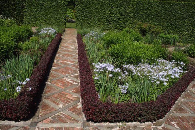 Berberitzenhecke-1.jpg