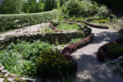 Berberitzenhecke-2.jpg
