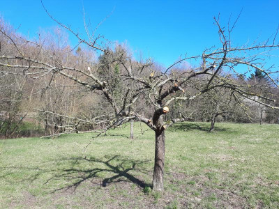 20240303_125711.jpg
