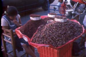 chapulines.jpg
