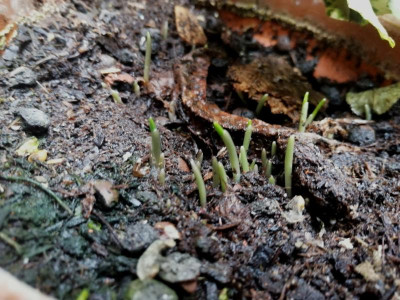 ex Betberg 20240307.jpg