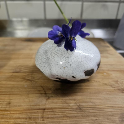 kleine Craquelée Vase mit Viola Donau 20240307_193136.jpg
