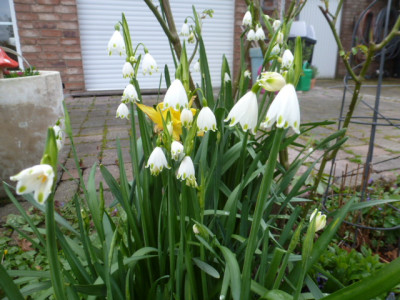 P1310066.JPG