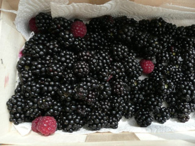 c_ernte_080723a.jpg