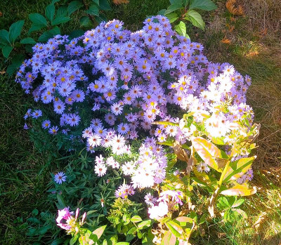 20231021_114851.jpg