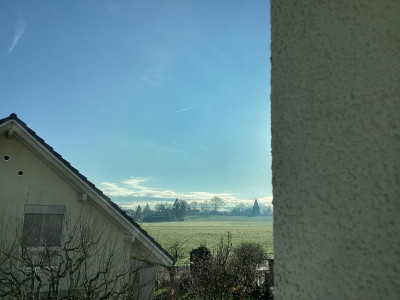 IMG_0247.jpeg