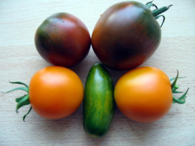 Ernte080723.JPG