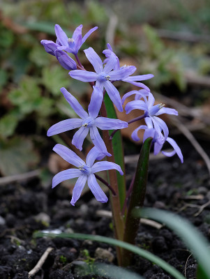DSC_8379_DxO.jpg