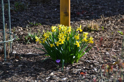 DSC_0009.JPG