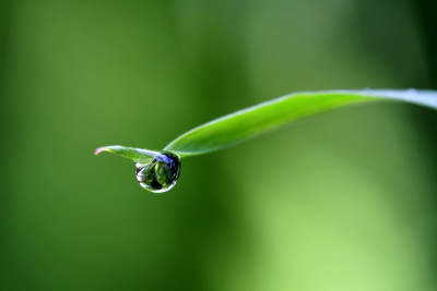 Single-Tropfen-1.jpg