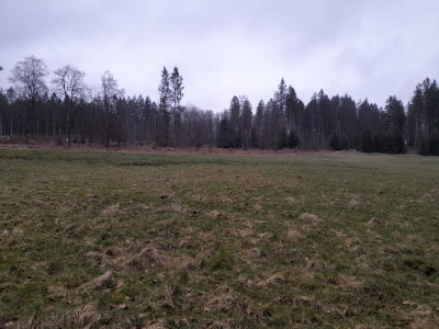 20240312_170051.jpg