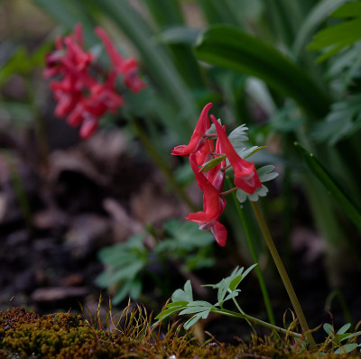 DSC_8378_DxO.jpg