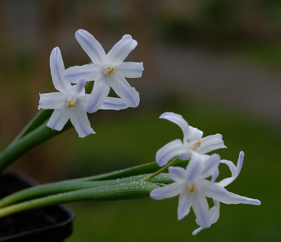 DSC_8391_DxO.jpg