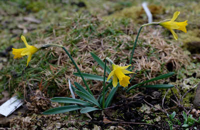 DSC_8388_DxO.jpg