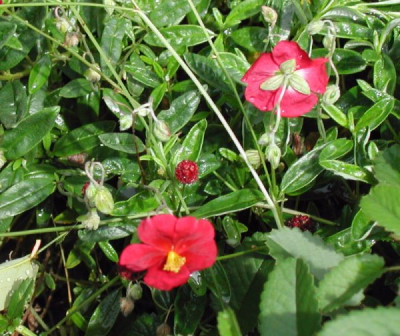 DSCN0025_uti.jpg