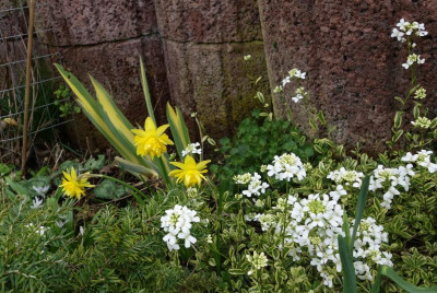 DSC03119.JPG