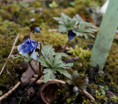 DSC01756_DxO.jpg