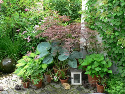 Gartenzwerg3.JPG