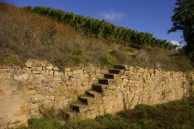 Weinbergsmauer.jpg